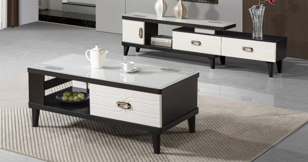 TV Stand/ Coffee Table